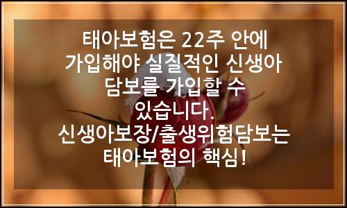 오늘의 이미지