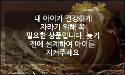 오늘의 이미지