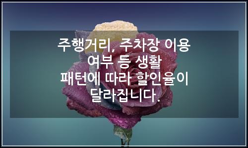 오늘의 이미지
