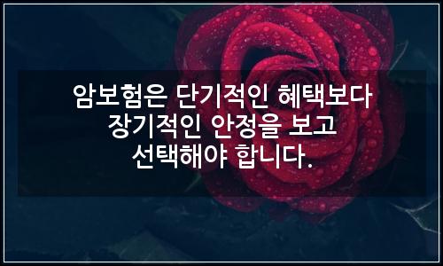 오늘의 이미지