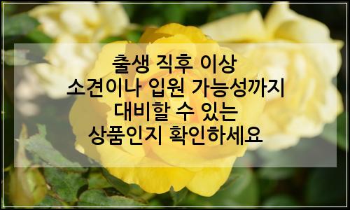 오늘의 이미지