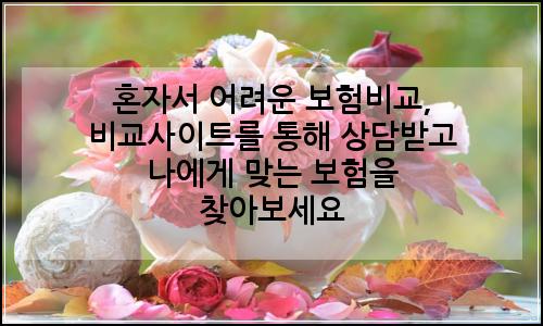 오늘의 이미지