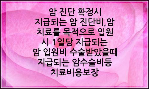 오늘의 이미지