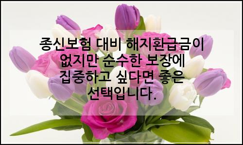 오늘의 이미지