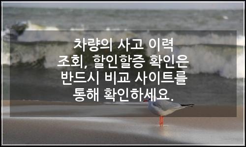 오늘의 이미지