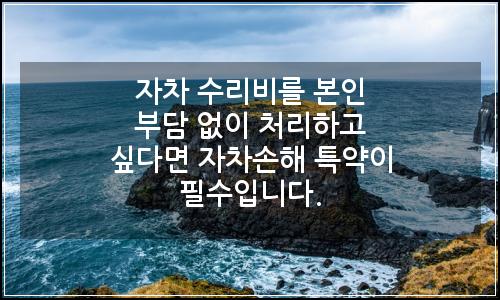 오늘의 이미지