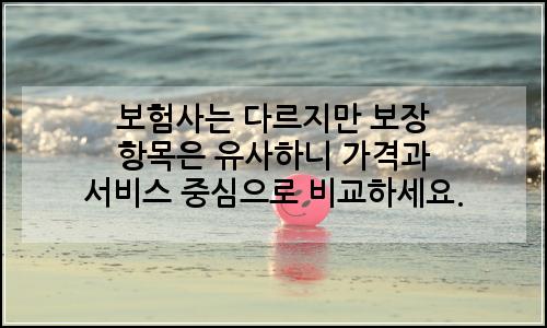 오늘의 이미지
