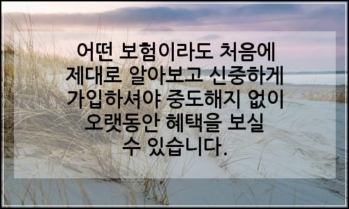 오늘의 이미지