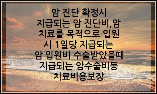 오늘의 이미지
