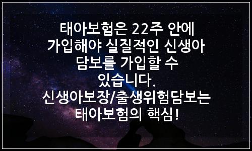오늘의 이미지