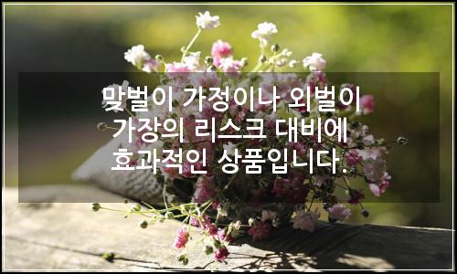 오늘의 이미지