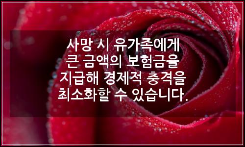 오늘의 이미지