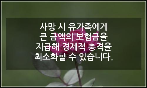 오늘의 이미지