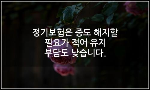 오늘의 이미지