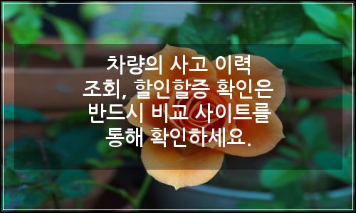 오늘의 이미지
