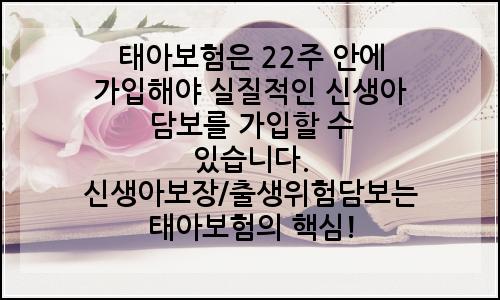 오늘의 이미지