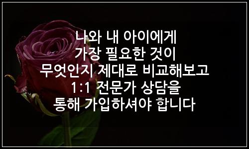 오늘의 이미지