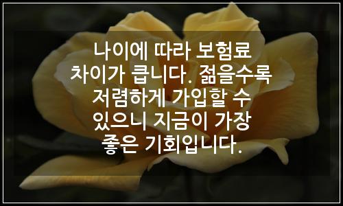 오늘의 이미지