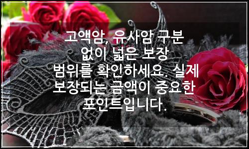 오늘의 이미지