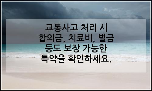 오늘의 이미지