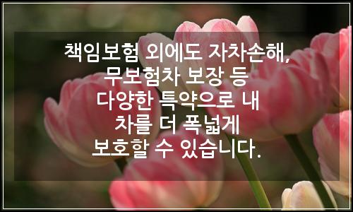 오늘의 이미지