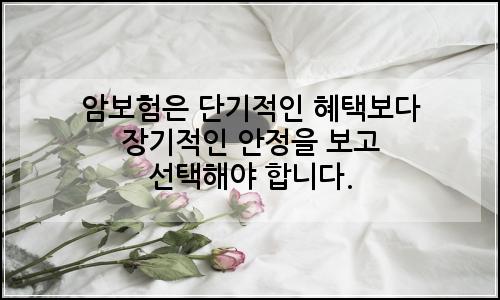 오늘의 이미지