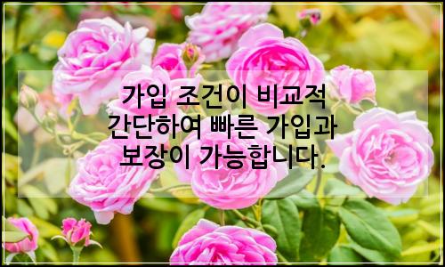 오늘의 이미지