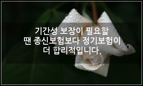 오늘의 이미지