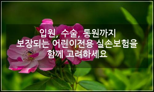 오늘의 이미지