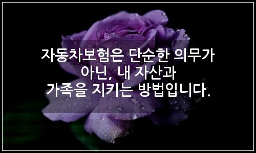 오늘의 이미지