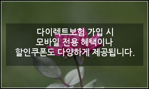오늘의 이미지