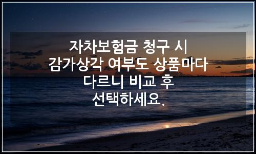 오늘의 이미지