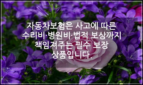 오늘의 이미지