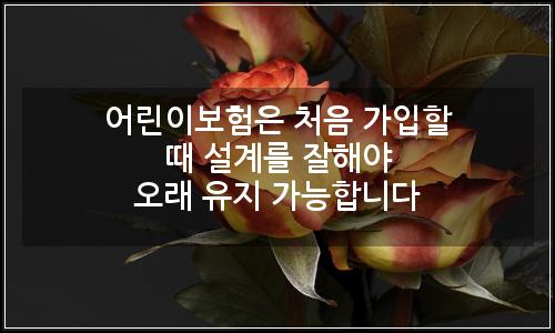 오늘의 이미지
