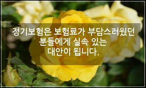 오늘의 이미지