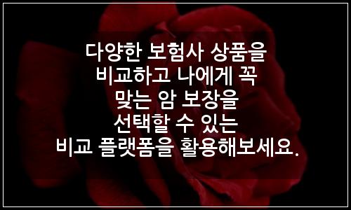 오늘의 이미지