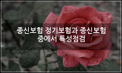 오늘의 이미지