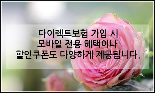 오늘의 이미지
