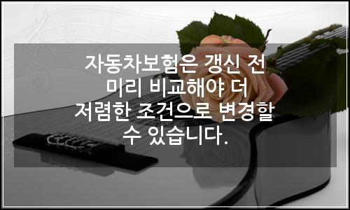 오늘의 이미지