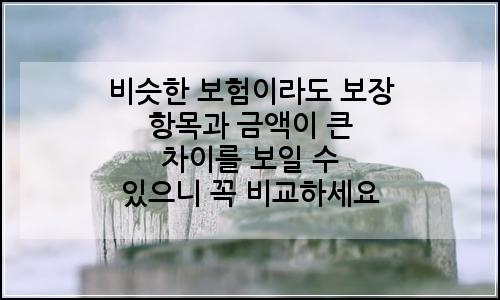 오늘의 이미지