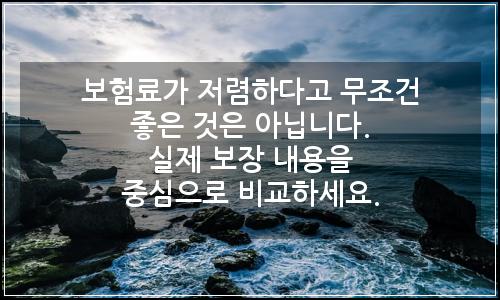 오늘의 이미지