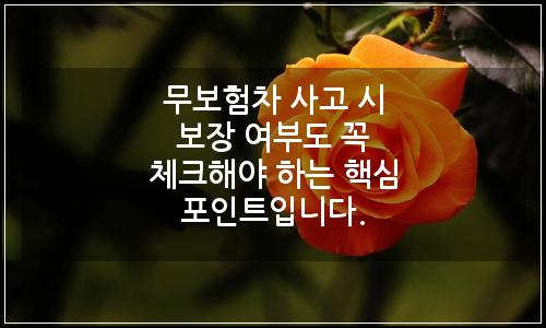 오늘의 이미지