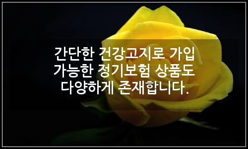 오늘의 이미지