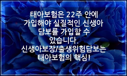 오늘의 이미지