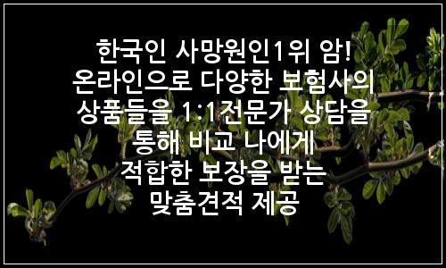 오늘의 이미지