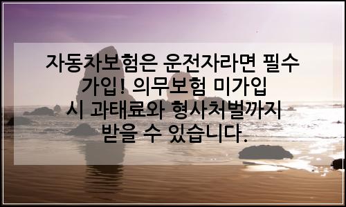 오늘의 이미지