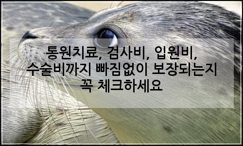 오늘의 이미지