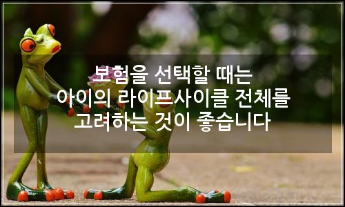 오늘의 이미지