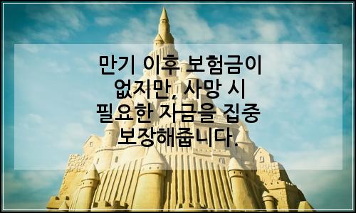 오늘의 이미지