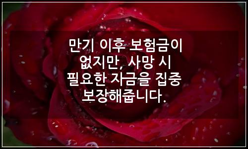 오늘의 이미지